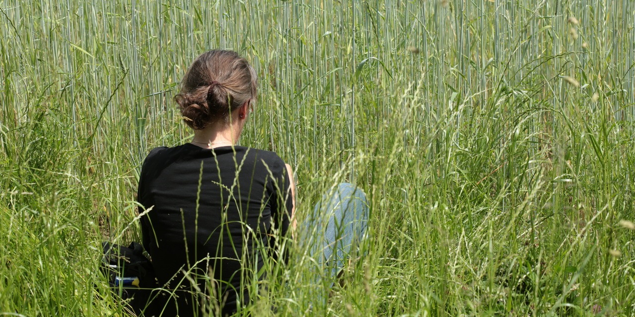 in der Wiese sitzen