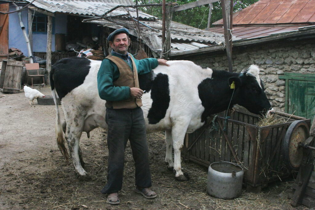 Stolz präsentiert dieser Mann seinen wertvollsten Besitz: eine Kuh