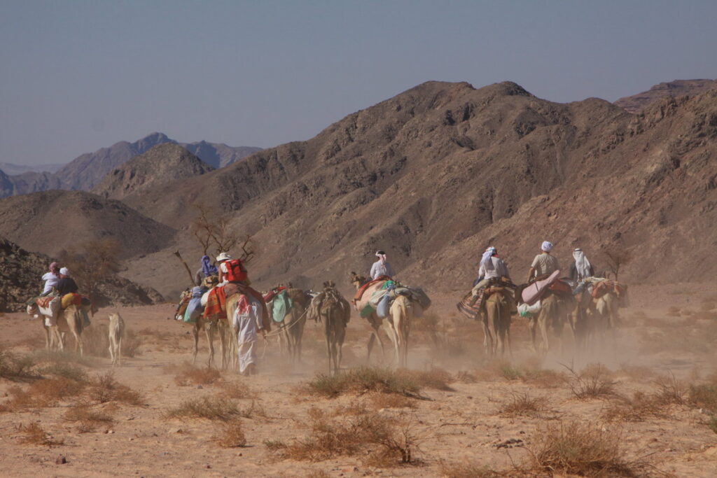 Sinai, 2009