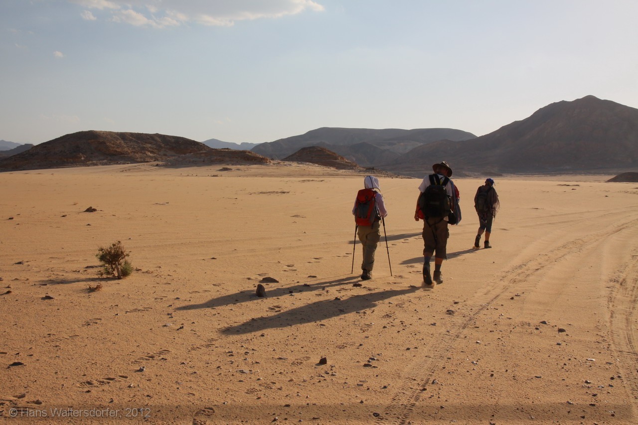 Sinai, 2012