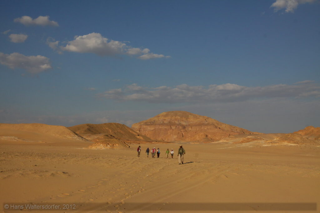 Sinai, 2012