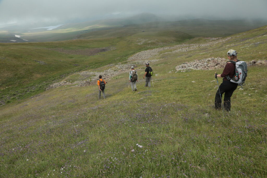 Armenien, 2017