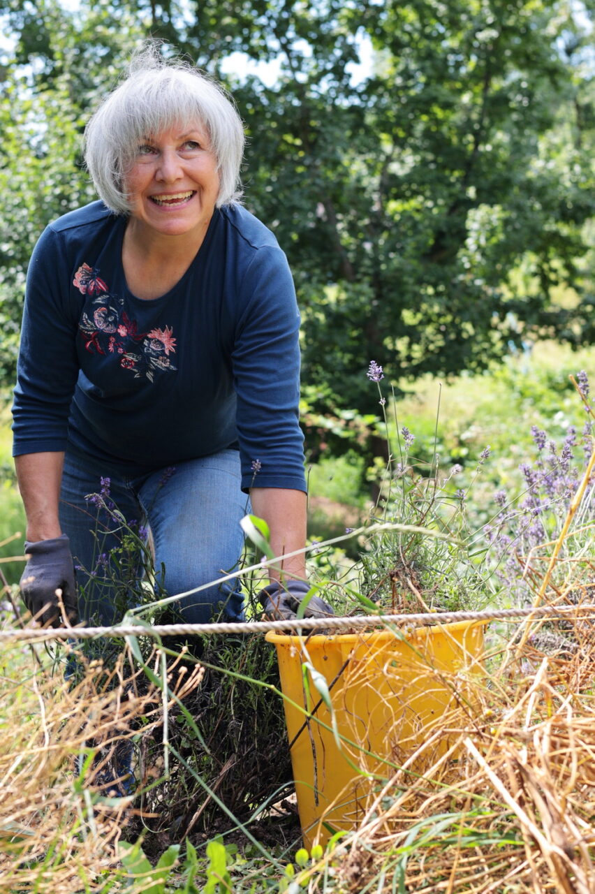 Gartenarbeit im Haus der Stille