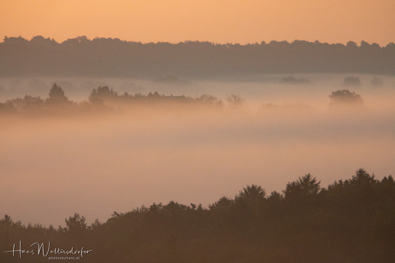 Herbstimpression