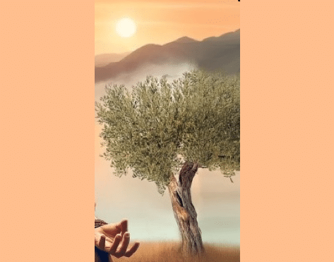 Buchcover-vom-smartphone-zur-stille