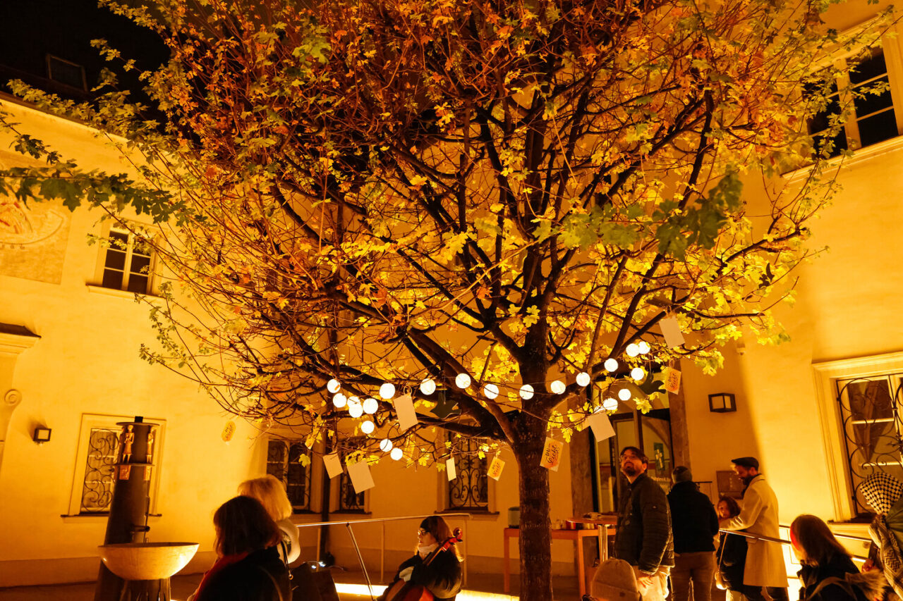 Mahnwache COP30 in Graz